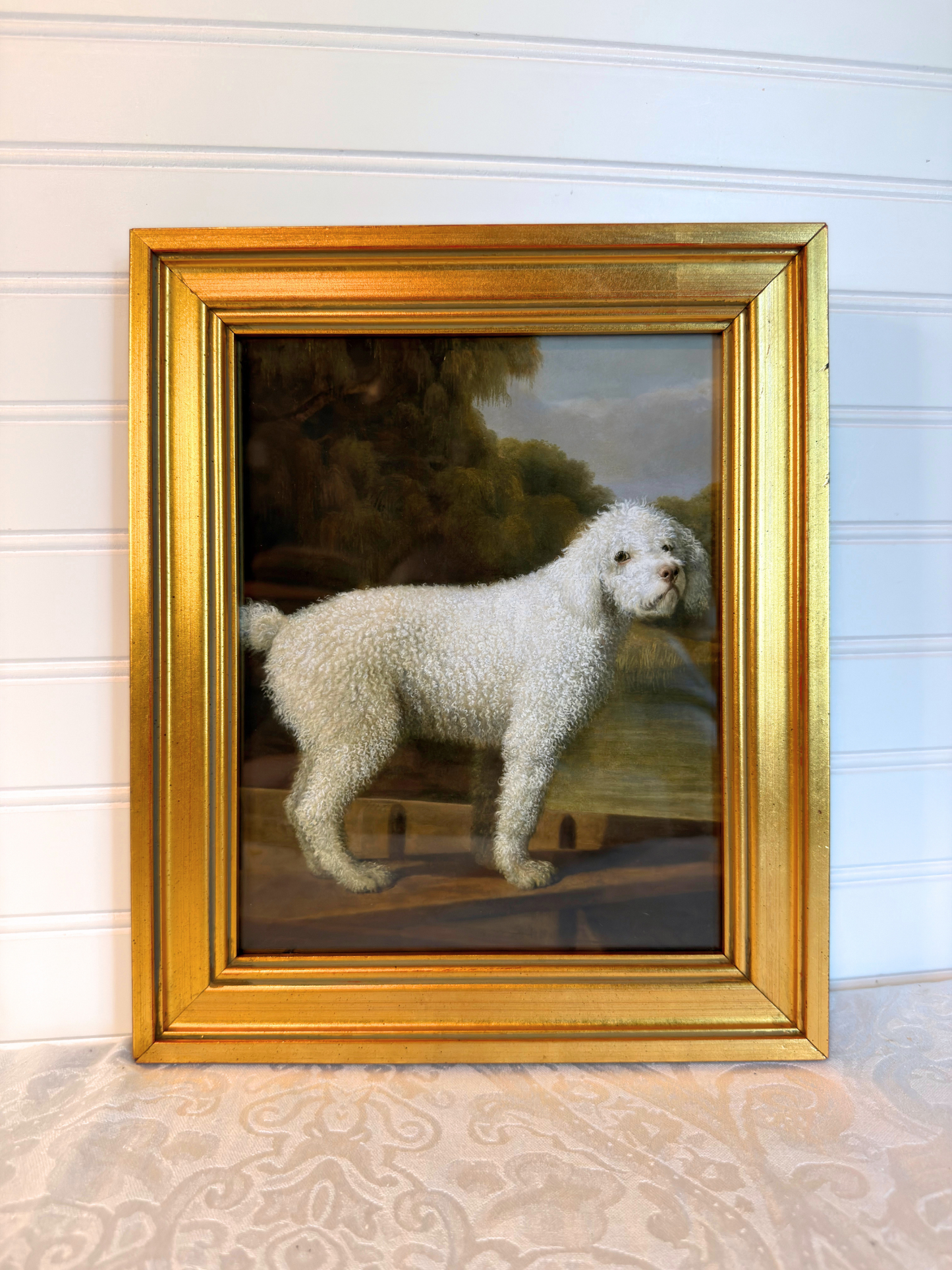 Framed White Poodle Giclee Print
