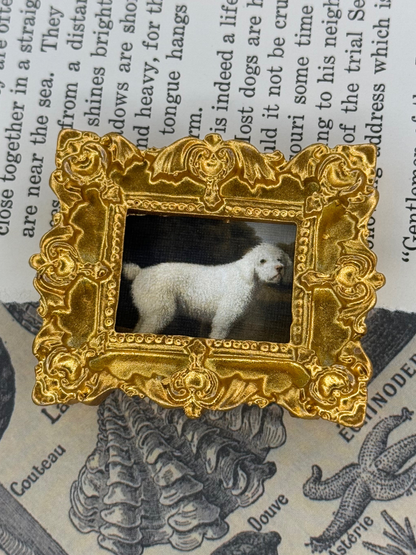 Mini White Poodle Magnet