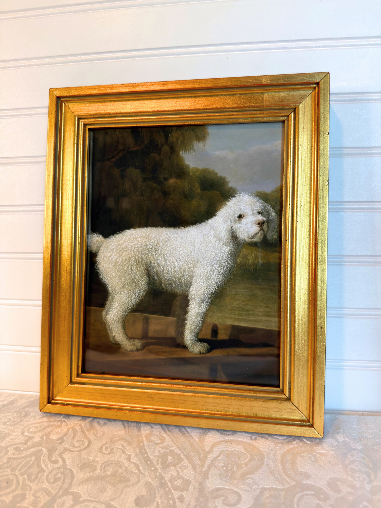 Framed White Poodle Giclee Print