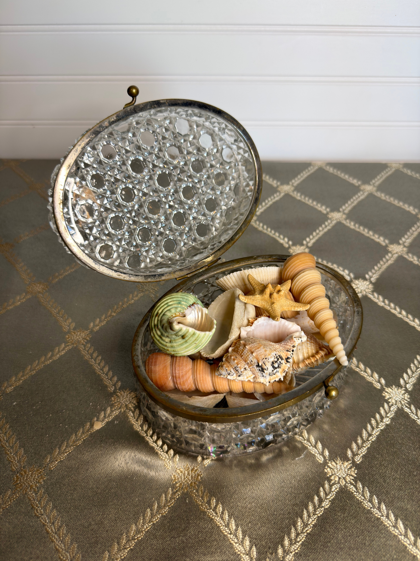 Mixed Seashell Assortment