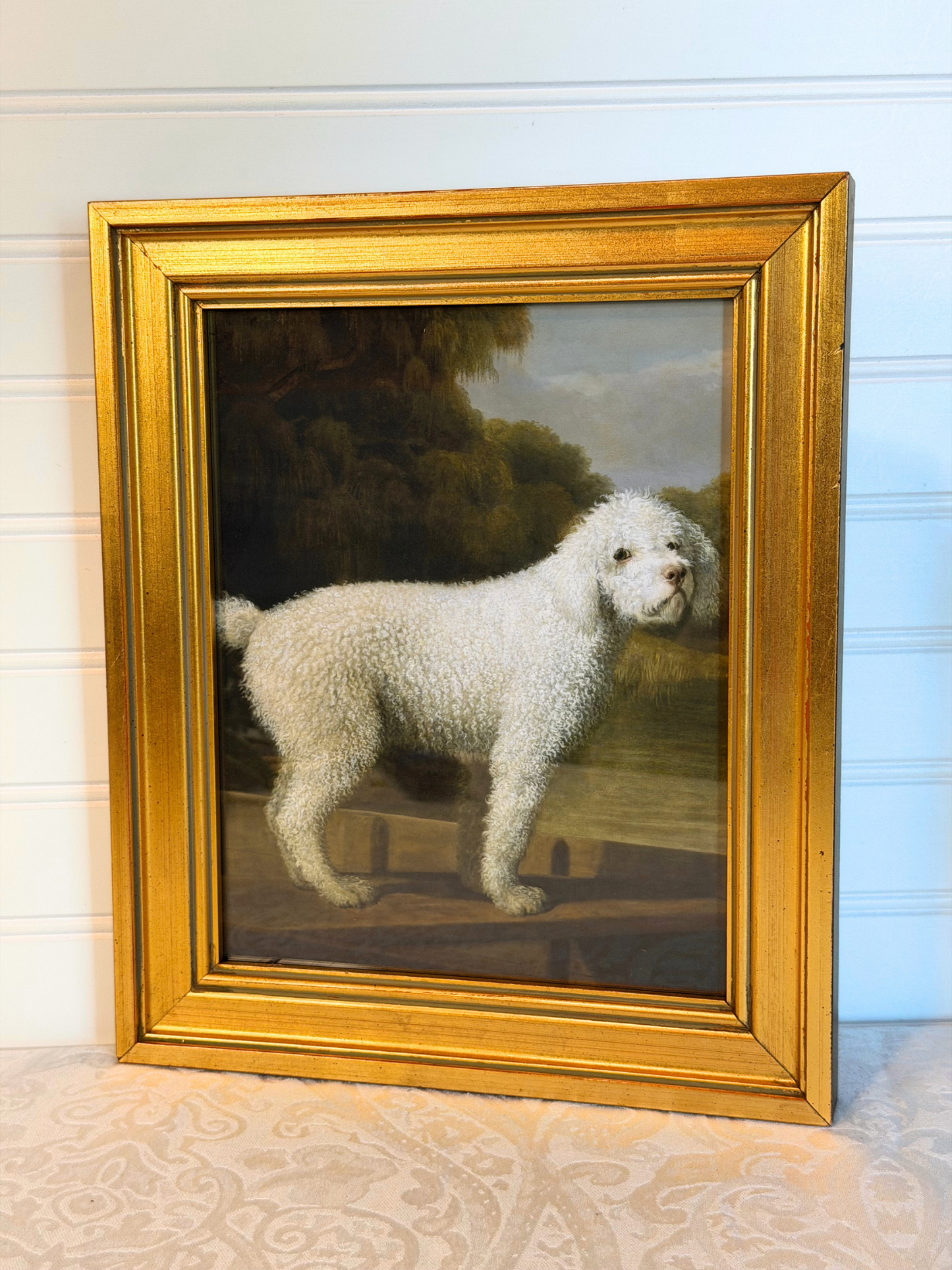 Framed White Poodle Giclee Print