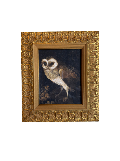 Framed Owl Print