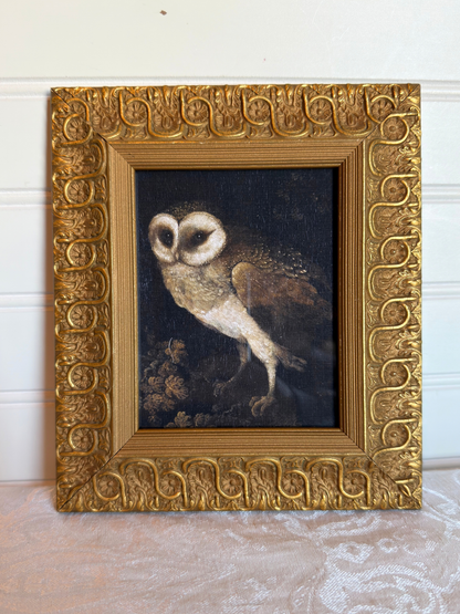 Framed Owl Print