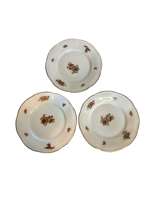 Bavaria, Germany Brown Floral Porcelain Plates