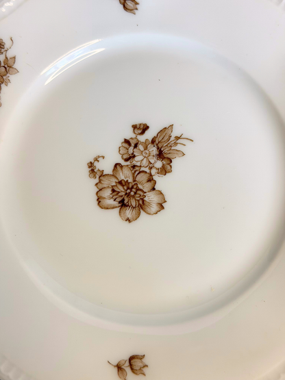 Bavaria, Germany Brown Floral Porcelain Plates