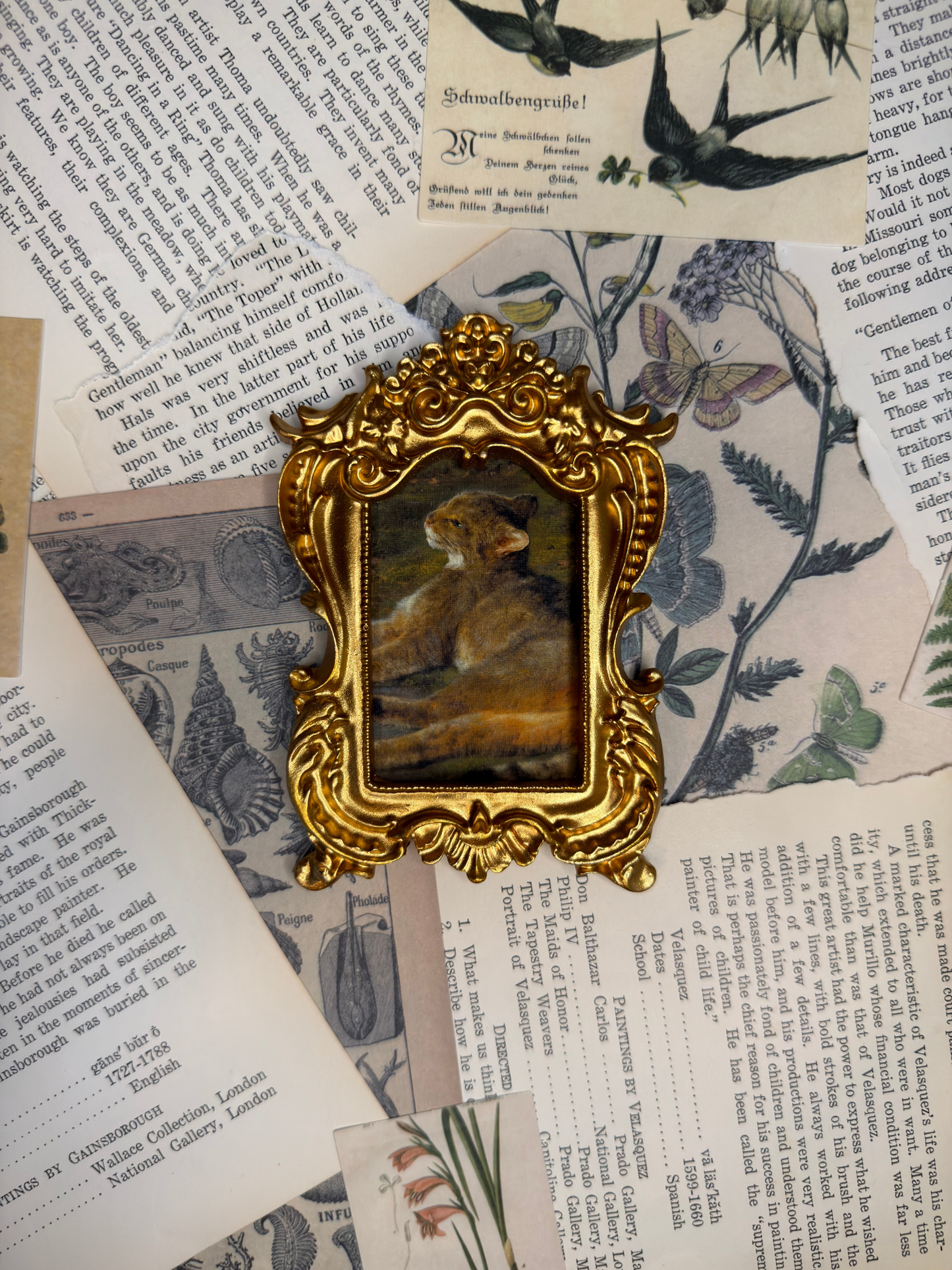 Small Wild Cat Magnet