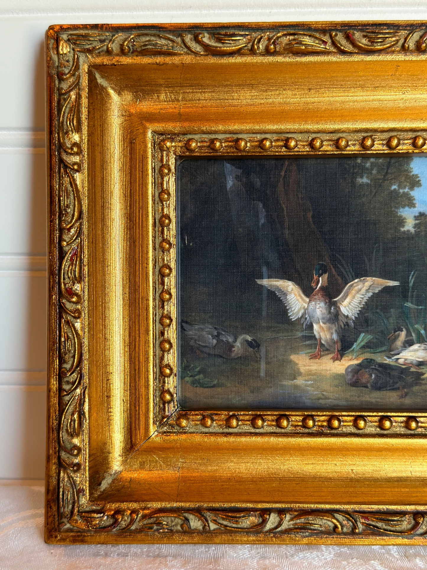 Framed Resting Ducks Print