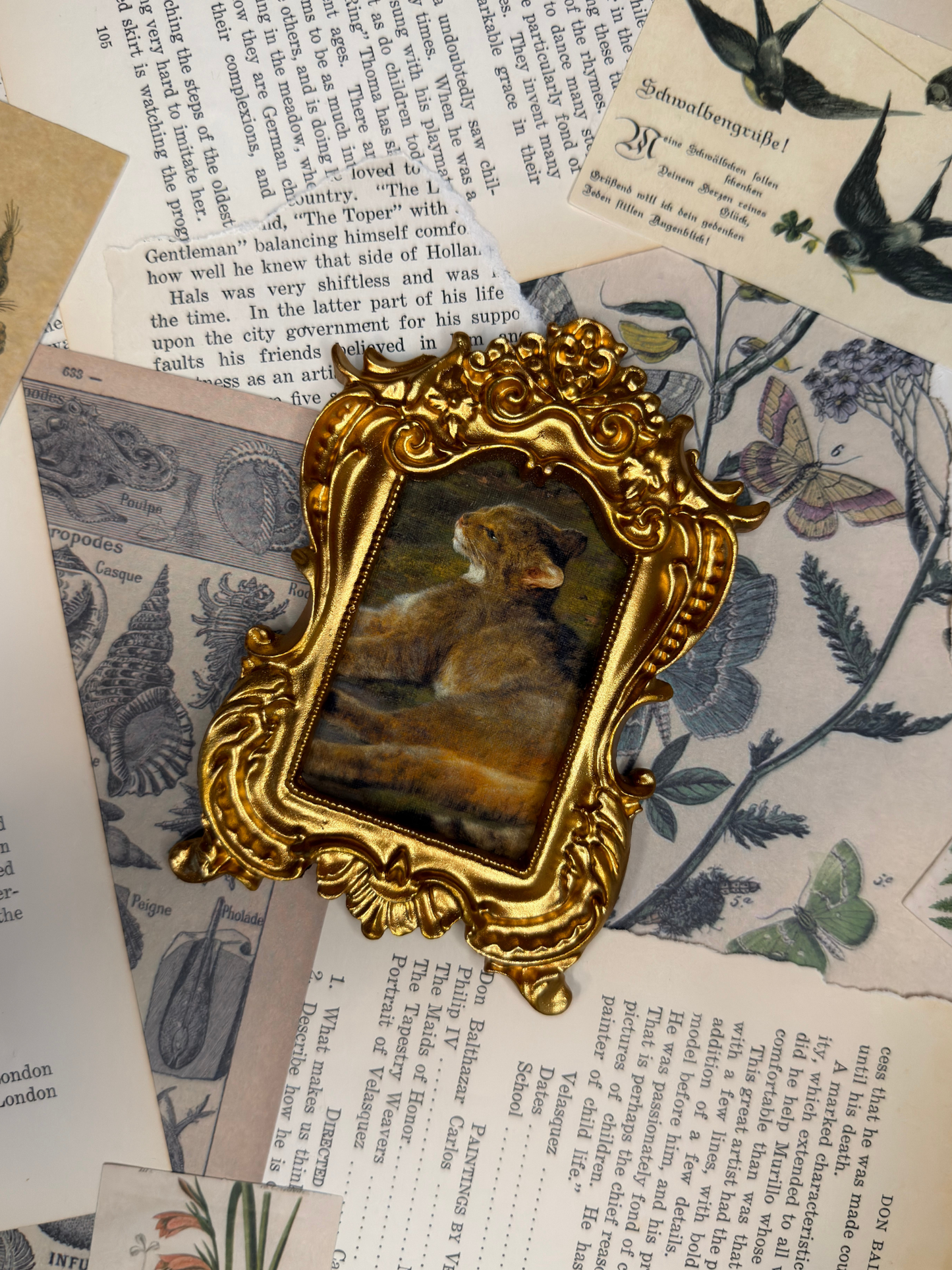 Small Wild Cat Magnet