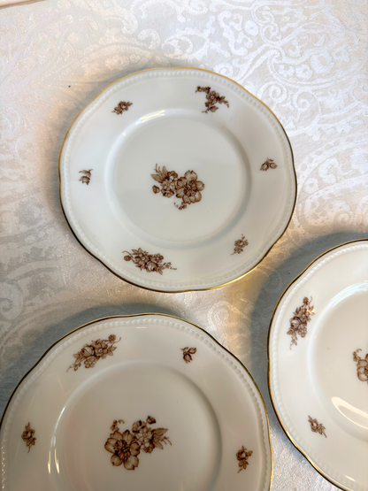 Bavaria, Germany Brown Floral Porcelain Plates