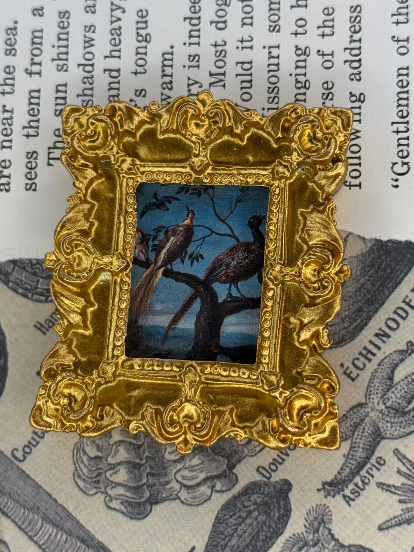 Mini Birds Magnet