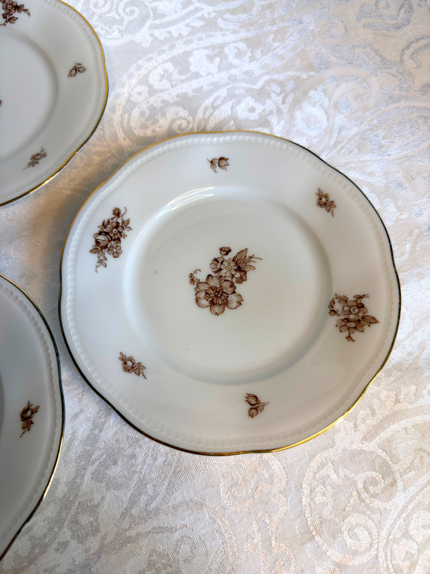 Bavaria, Germany Brown Floral Porcelain Plates