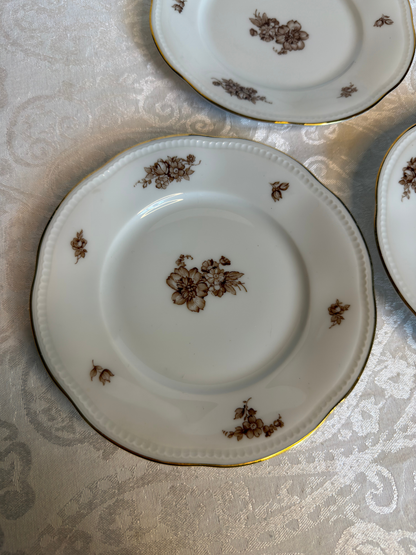 Bavaria, Germany Brown Floral Porcelain Plates