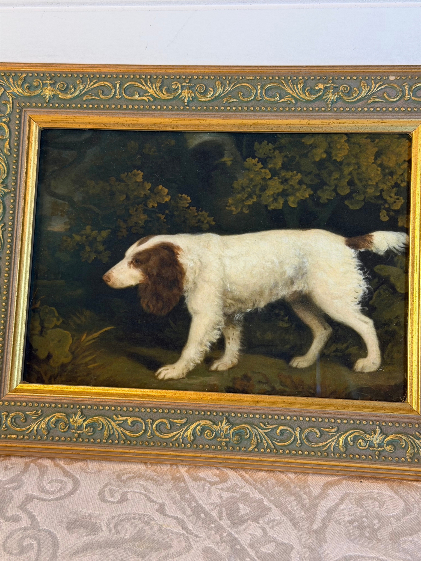 Framed Spaniel Giclee Print