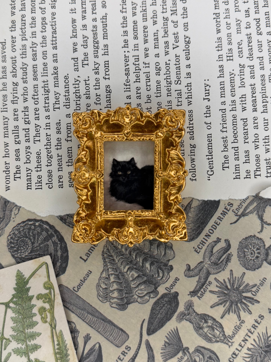 Mini Black Cat Magnet #1
