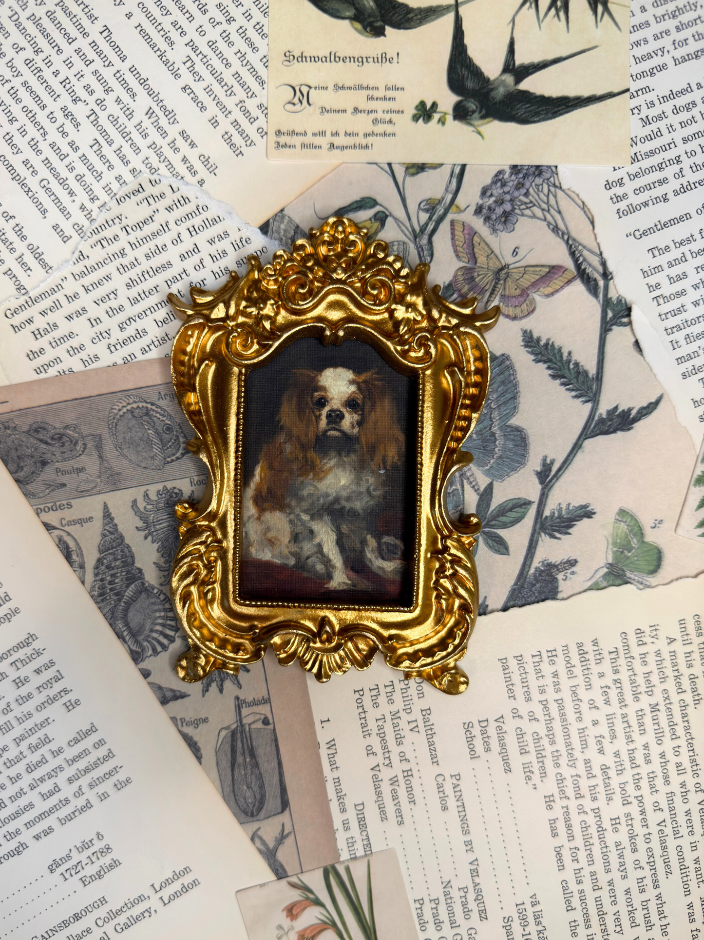 Small King Charles Spaniel Magnet