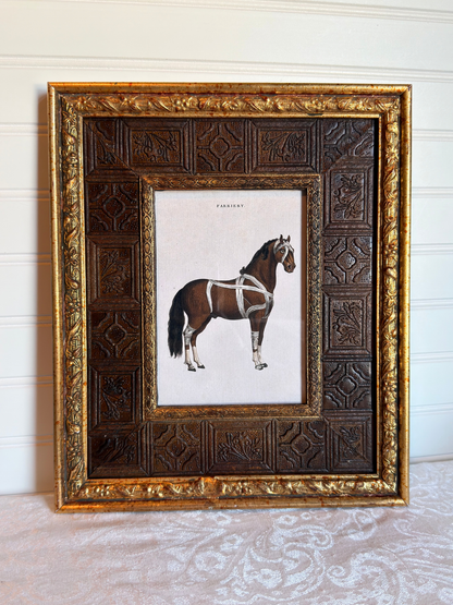 Framed Horse Print