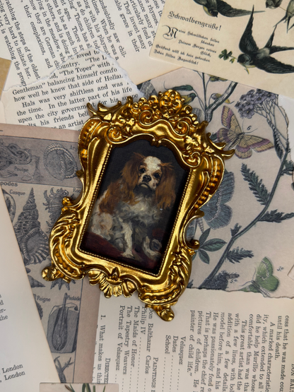 Small King Charles Spaniel Magnet