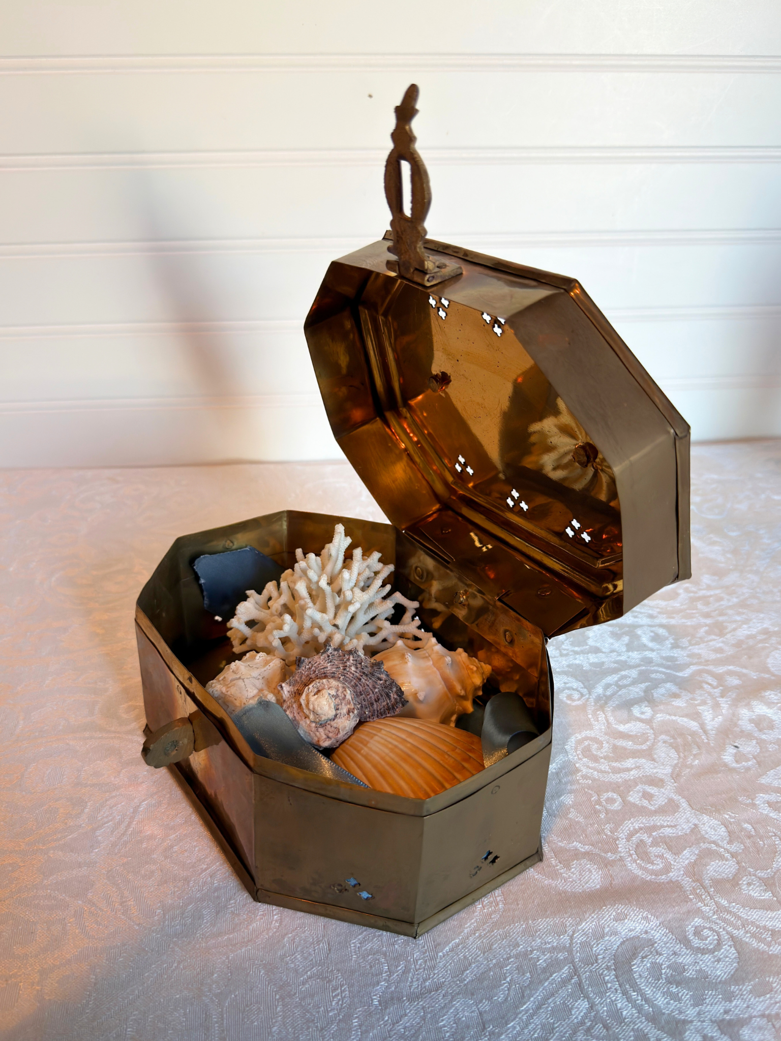 Brass cricket box opened with seashells displayed on a white background