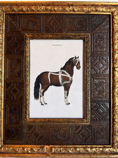 Framed Horse Print