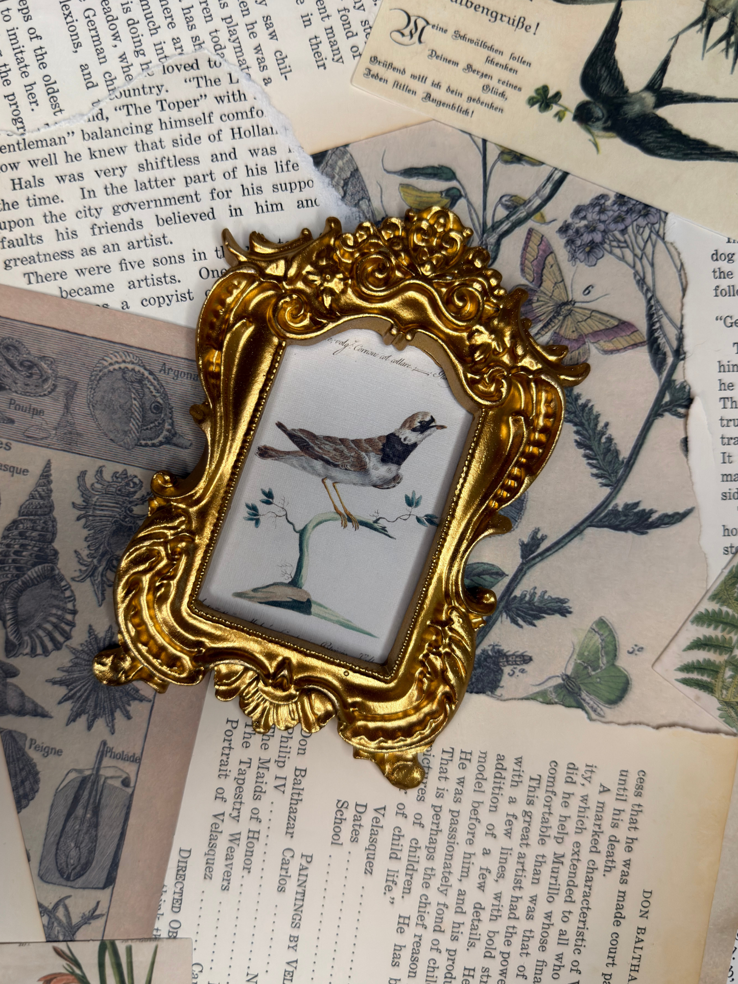 Small Common Winged Plover Magnet