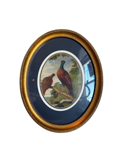 Framed Pheasant & Hen Print