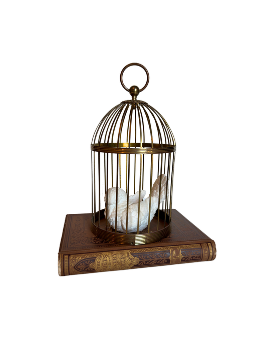 Decorative birdcage with a white bird on a book against a white background