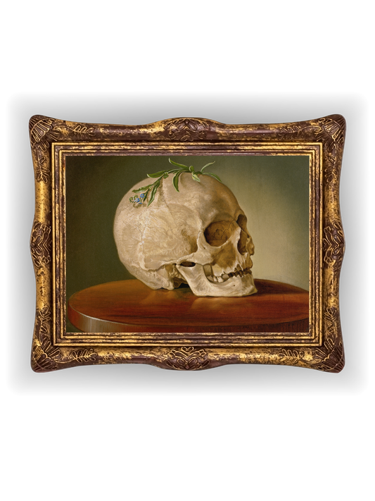 Still Life of Skull