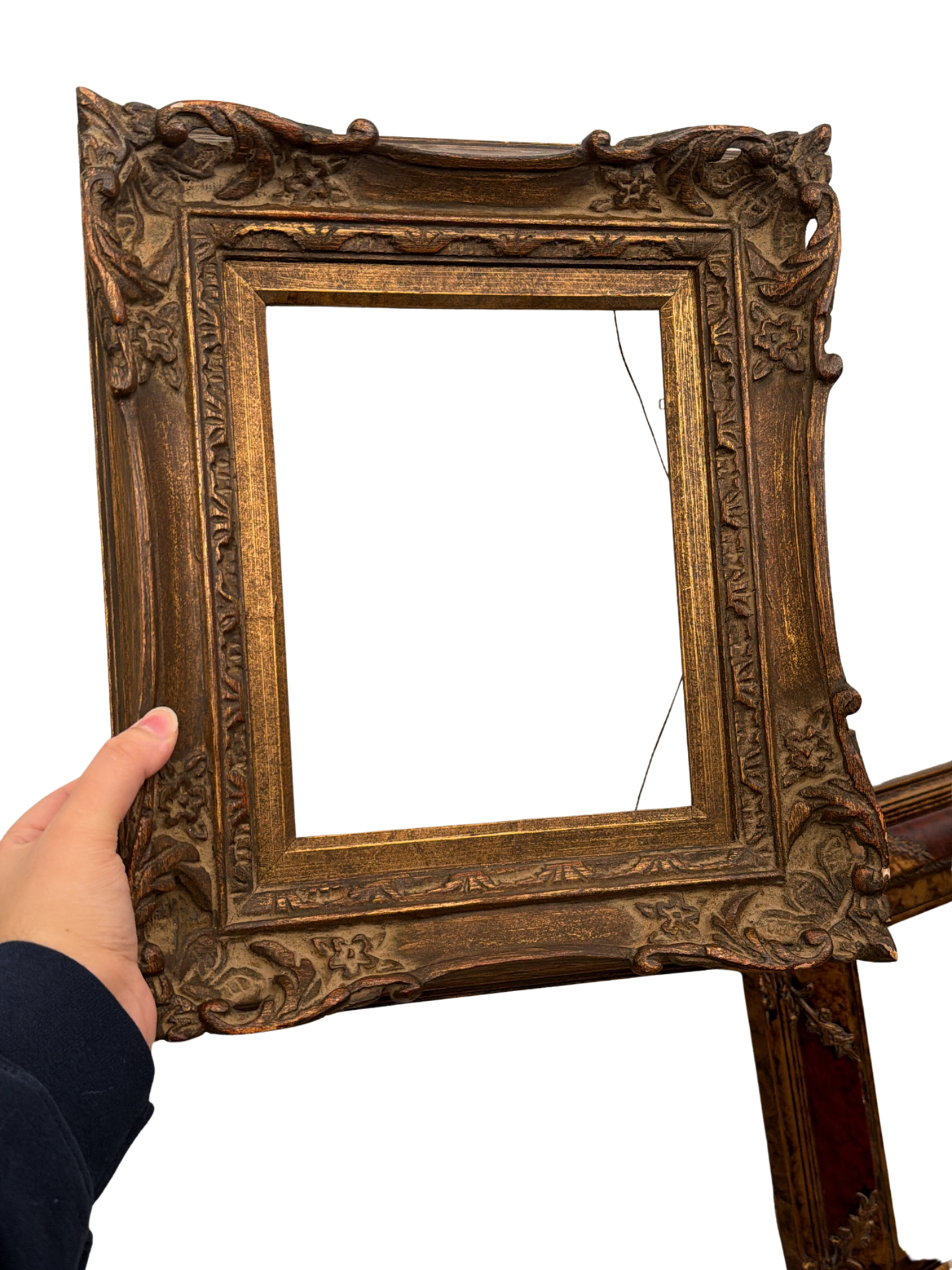 Framed Empress of Brazil Print